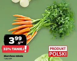 Netto Marchew młoda oferta