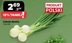 Netto Cebula dymka oferta