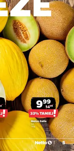Netto Melon Galia oferta