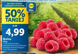 Lidl Maliny oferta