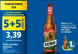 Lidl Piwo Żubr 1768 oferta