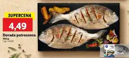 Lidl Dorada patroszona oferta