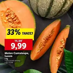 Lidl Melon cantaloupe oferta