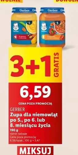 Lidl Zupka pomidorowa z ryżem i indykiem Gerber oferta