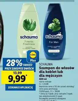 Lidl Szampon classic Schauma For Men oferta
