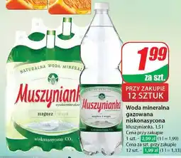 Dino Woda niegazowana Muszynianka oferta