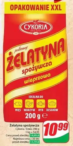 Dino Żelatyna spożywcza wieprzowa Cykoria oferta