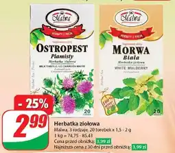 Dino Herbatka morwa biała Malwa Tea oferta