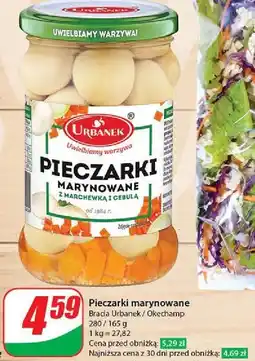 Dino Pieczarka marynowana Urbanek oferta