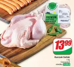 Dino Kurczak sielski Superdrob oferta