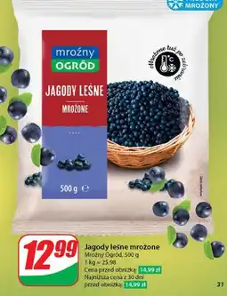 Dino Jagody Mroźny Ogród oferta
