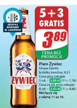 Dino Piwo Żywiec Jasne Pełne oferta