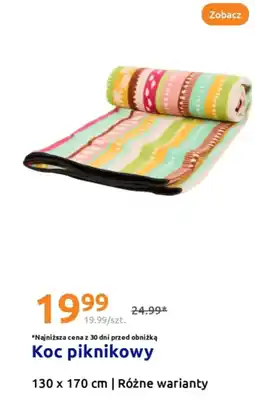 Action Koc piknikowy oferta