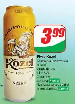 Dino Piwo Kozel Lezak oferta