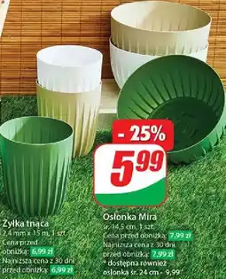 Dino Osłonka mira 24 cm oferta