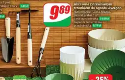 Dino Motyczka oferta