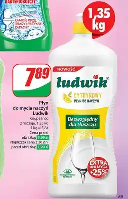 Dino Płyn do mycia naczyń cytrynowy Ludwik oferta