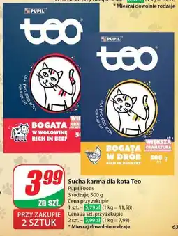 Dino Karma dla kota z wołowiną Teo oferta