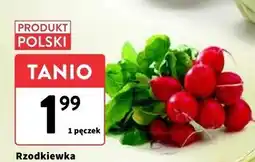 Intermarche Rzodkiewka polska oferta