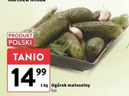 Intermarche Ogórek małosolny polska oferta