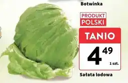 Intermarche Sałata lodowa polska kl.i oferta
