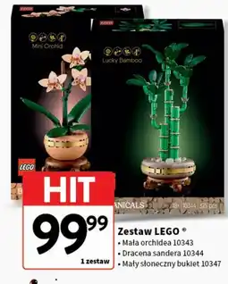 Intermarche Klocki 10347 Lego oferta