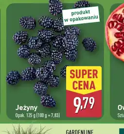 ALDI Jeżyny oferta