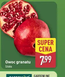 ALDI Owoc granatu oferta
