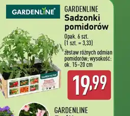ALDI Sadzonki pomidorów Gardenline oferta