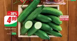 Dino Ogórek Polski oferta