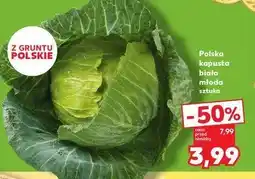 Kaufland Kapusta biała polska oferta