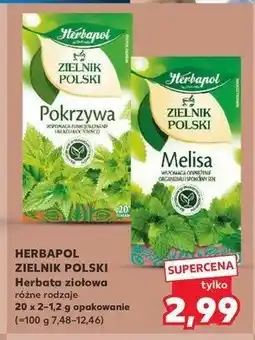 Kaufland Herbatka pokrzywa Herbapol zielnik polski oferta