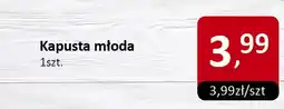 Kapusta młoda 1szt. Market Point