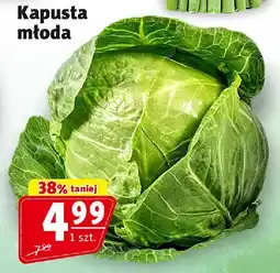 Prim Market Kapusta młoda 1 szt. Prim Market oferta