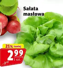 Prim Market Sałata masłowa 1 szt. Prim Market oferta