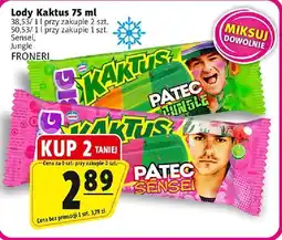 Prim Market Lody Kaktus różne rodzaje 75ml FRONERI oferta