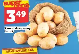 Topaz Ziemniak wczesny oferta