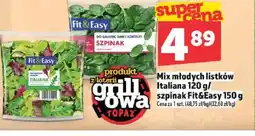Topaz Mix młodych listków Italiana/szpinak Fit&Easy oferta