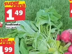 Topaz Rzodkiewka oferta