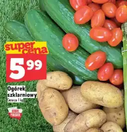 Topaz Ogórek szklarniowy oferta