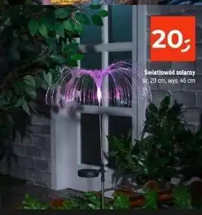 Dealz Światłowód solarny oferta