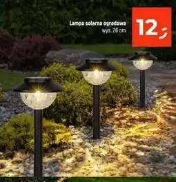 Dealz Lampa solarna 26 cm oferta