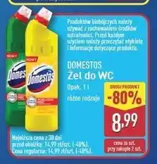 ALDI Płyn do wc citrus fresh Domestos oferta