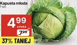 Delikatesy Centrum Kapusta młoda 1 szt. Delikatesy Centrum oferta