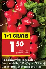 Biedronka Rzodkiewka oferta