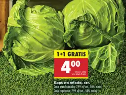 Biedronka Kapusta młoda szt oferta