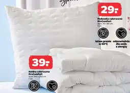 Netto Poduszka całoroczna ProComfort oferta