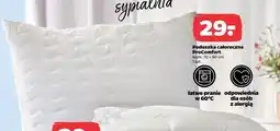 Netto Poduszka procomfort 70 x 80 cm John Cotton oferta