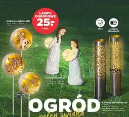 Netto Pik solarny oferta