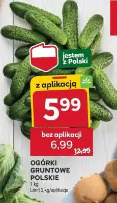 Stokrotka Market Ogórki gruntowe polskie oferta